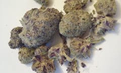 User uploaded image of Silvertip