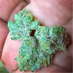 User uploaded image of Silvertip