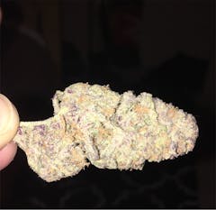 User uploaded image of Silvertip