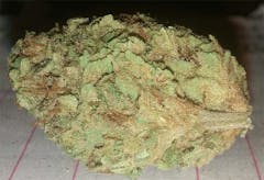 User uploaded image of Silvertip