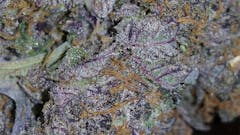 User uploaded image of Silvertip