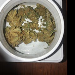 User uploaded image of Moonbeam