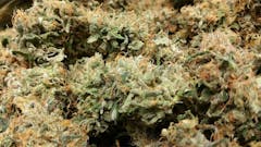 User uploaded image of Moonshine Haze
