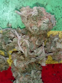 User uploaded image of Moonwalker Kush