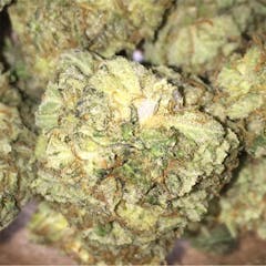 User uploaded image of Moose and Lobsta