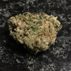 User uploaded image of Moose and Lobsta