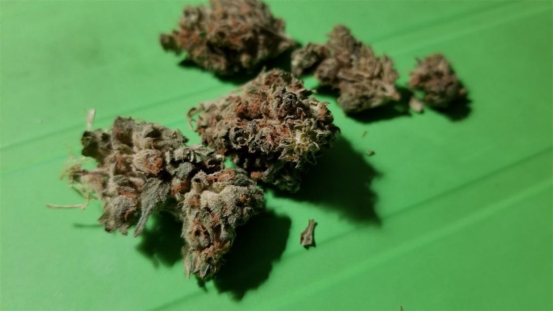 Photos of Morning Glory Weed Strain Buds Leafly