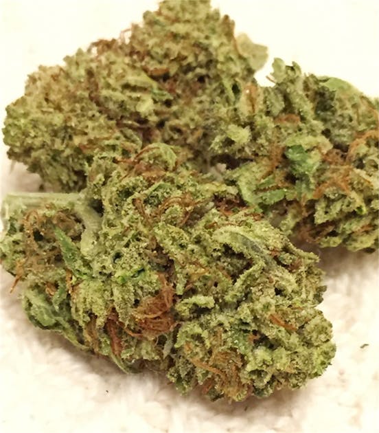 Photos of Morning Star Weed Strain Buds Leafly