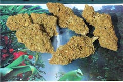 User uploaded image of Morning Star