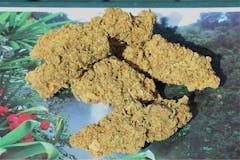 User uploaded image of Morning Star