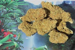 User uploaded image of Morning Star