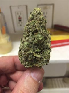 User uploaded image of Mossad