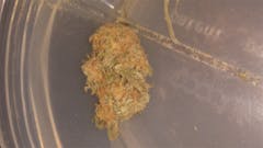 User uploaded image of Motavation