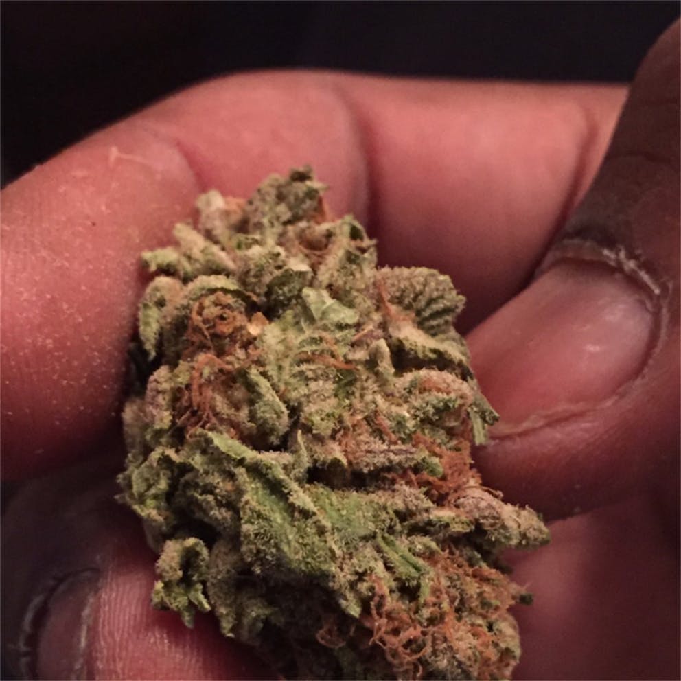 Photos of Mother of Berries Weed Strain Buds Leafly