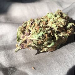 User uploaded image of Mother of Berries