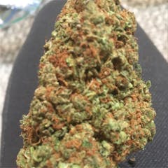 User uploaded image of Mother of Berries