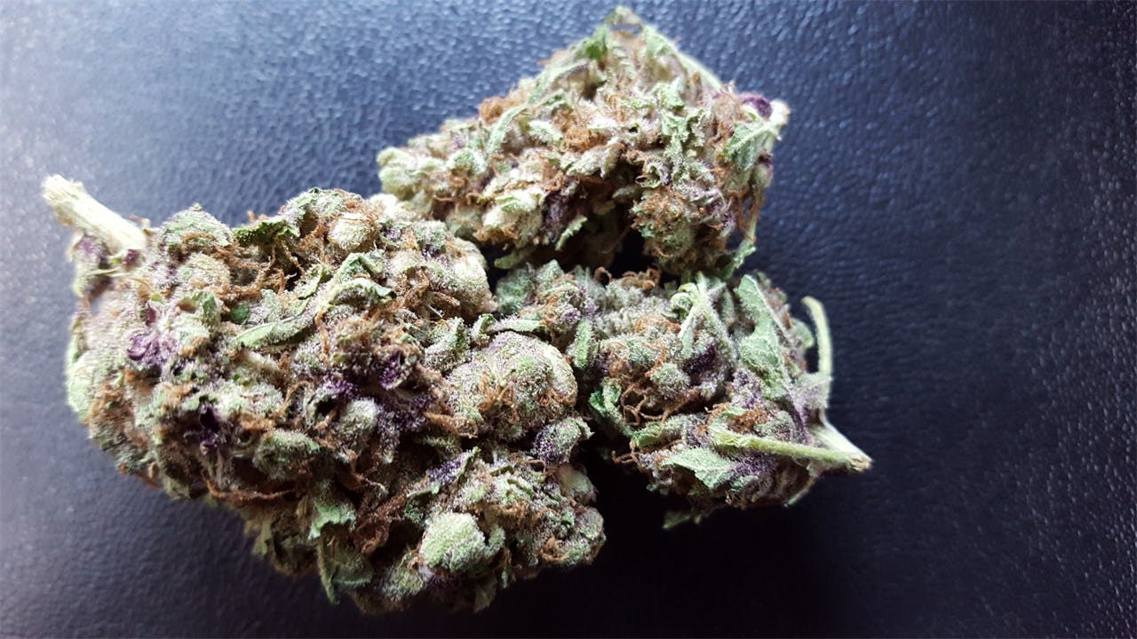 Mother of Berries aka MOB, Mother of All Berries, Maine Original