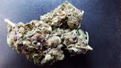 User uploaded image of Mother of Berries