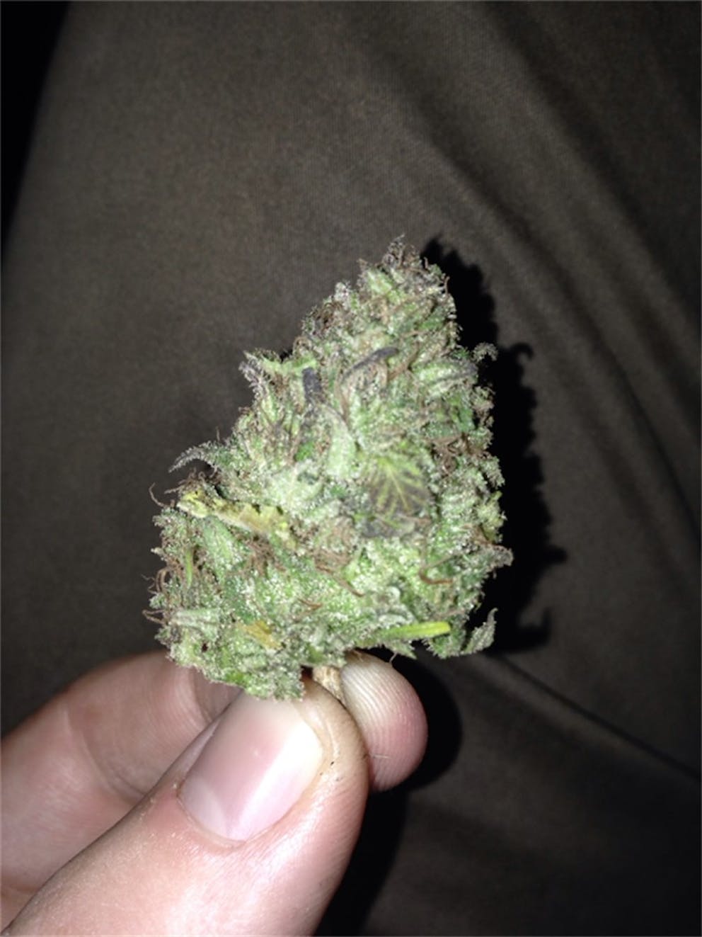 Photos of Mother of Berries Weed Strain Buds Leafly