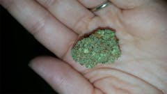 User uploaded image of Mother’s Finest