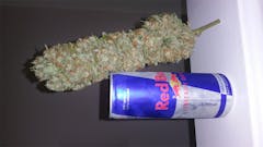 User uploaded image of Mother’s Finest