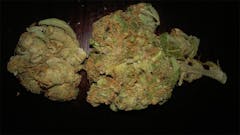 User uploaded image of Mother’s Helper