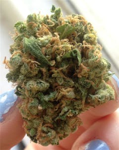 User uploaded image of Mother’s Helper