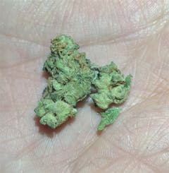 User uploaded image of Mother’s Helper