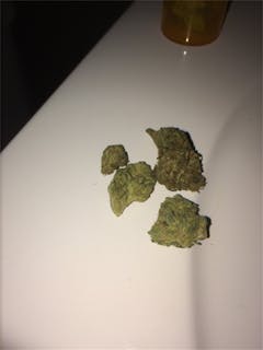 User uploaded image of Mother’s Helper