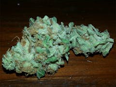 User uploaded image of Mother’s Helper