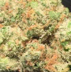 User uploaded image of Mother's Milk