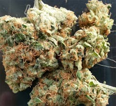 User uploaded image of Mother Tongue