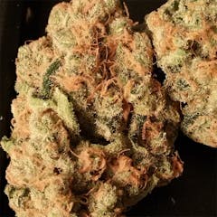 User uploaded image of Mother Tongue