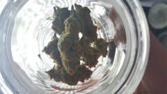 User uploaded image of Mother Tongue