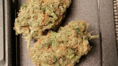 User uploaded image of Mother Tongue