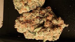 User uploaded image of Mother Tongue