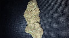 User uploaded image of Mr. Nice Guy