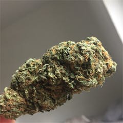 User uploaded image of Mr. Nice Guy