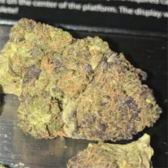 User uploaded image of Mr. Nice Guy