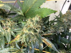 User uploaded image of Mt. Cook