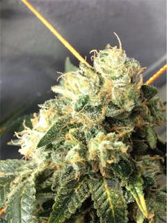 User uploaded image of Mt. Cook