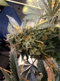 User uploaded image of Mt. Cook