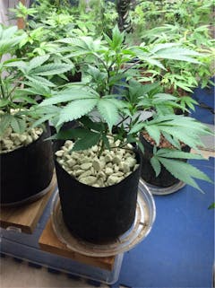 User uploaded image of Mt. Cook