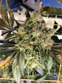 User uploaded image of Mt. Cook