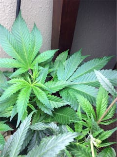 User uploaded image of Mt. Cook