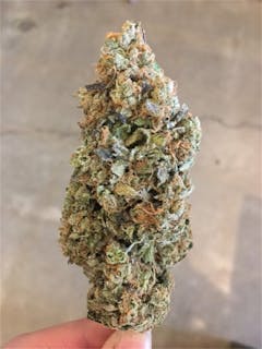 User uploaded image of Mt. Hood Magic