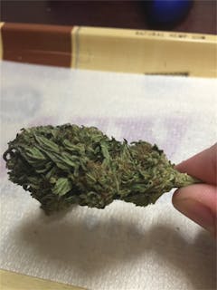 User uploaded image of Mt. Rainier