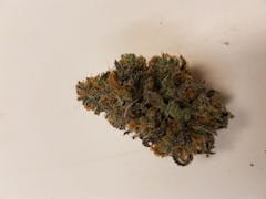 User uploaded image of Mud Bite