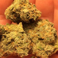 User uploaded image of Narnia