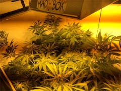 User uploaded image of Nebula 2